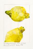 Shaped lemon Two views may 91 38x28cm